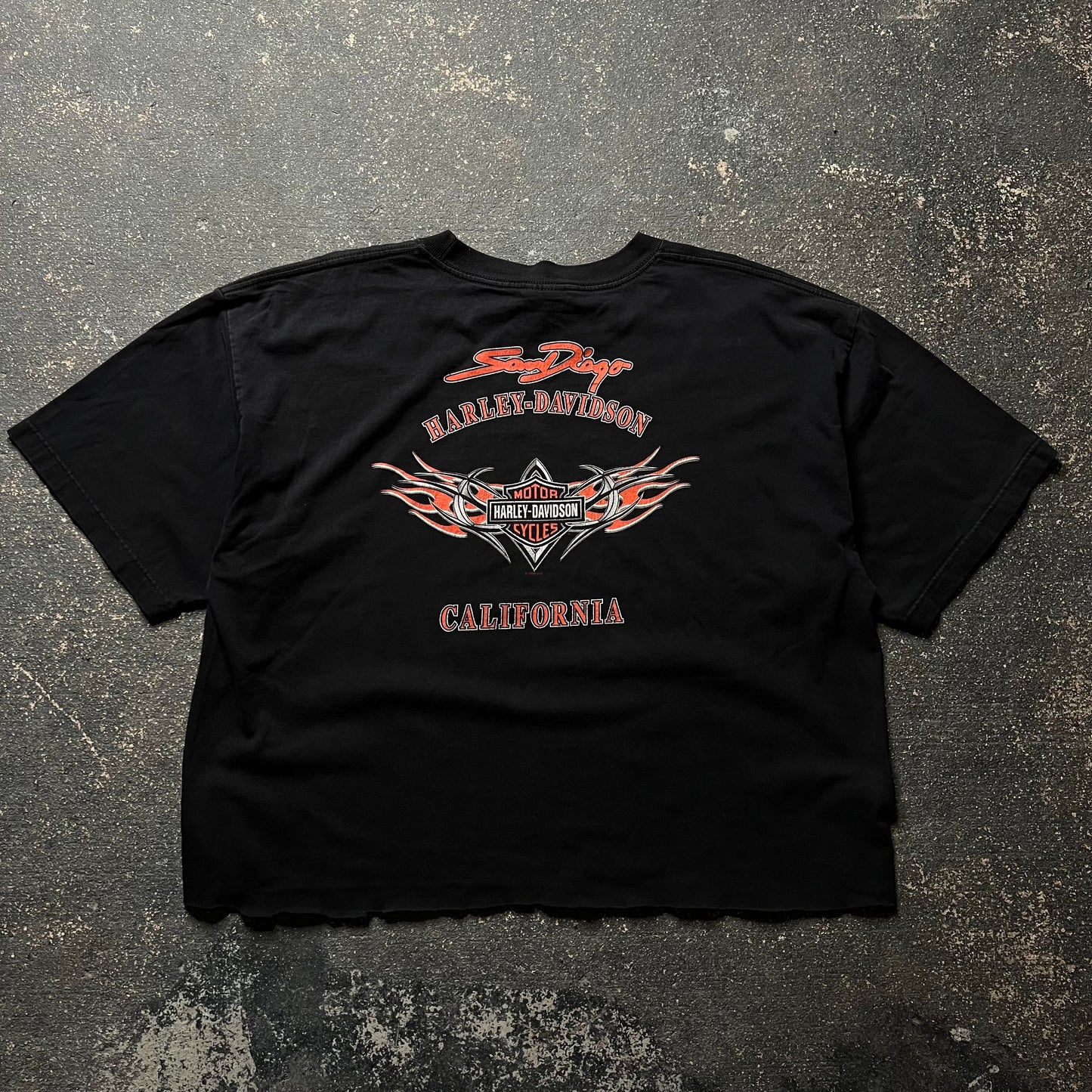 Vintage Boxy Harley Davidson Tee